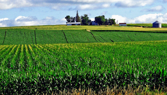 University of Minnesota's Agriculture Robots (Case Study)