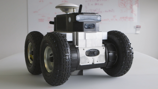 Digi Labs' Wild Goose Chaser (Case Study)
